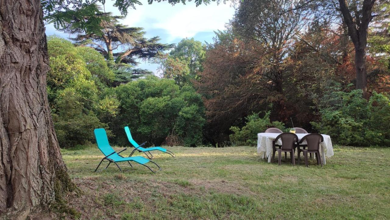 Gite A La Campagne, Proche Carcassonne Alairac Buitenkant foto