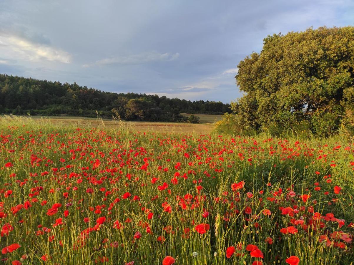 Gite A La Campagne, Proche Carcassonne Alairac Buitenkant foto